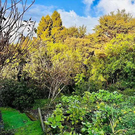 Natures Own Guesthouse Auckland Exterior photo